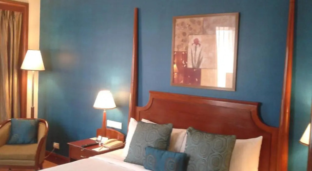 Номер Deluxe Park Prime Jaipur