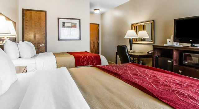 Четырёхместный номер Standard Comfort Inn & Suites Near Lake Guntersville