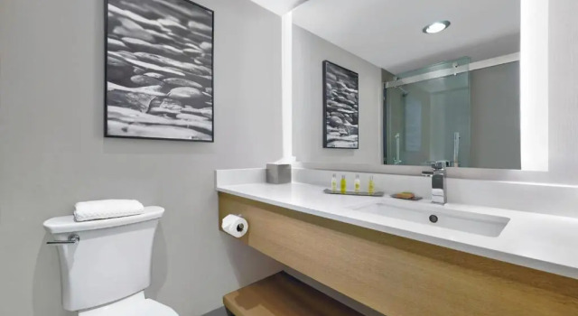 Номер Standard DoubleTree by Hilton Davenport