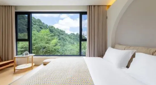 Люкс Linxijian Homestay (Bifengxia Scenic Area)