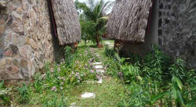 Бунгало Deluxe Ninila Fruit Farm Bungalow