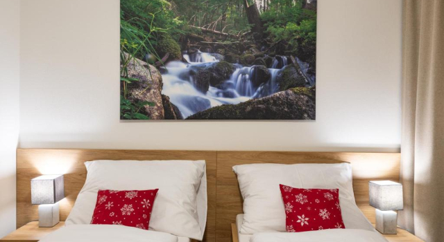 Двухместный номер Standard Hotel Jasná