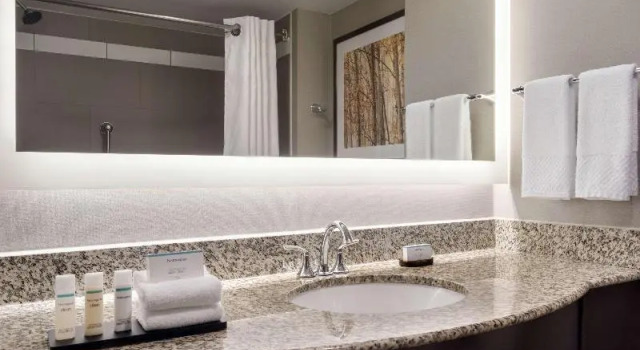 Четырёхместный люкс с 2 комнатами Embassy Suites by Hilton Atlanta Alpharetta