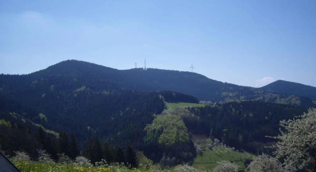 Апартаменты Langenberghof
