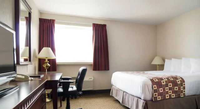 Standard quadruple chambre Albatross Hotel