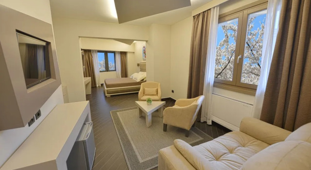 Номер Superior Petit Hotel Elita