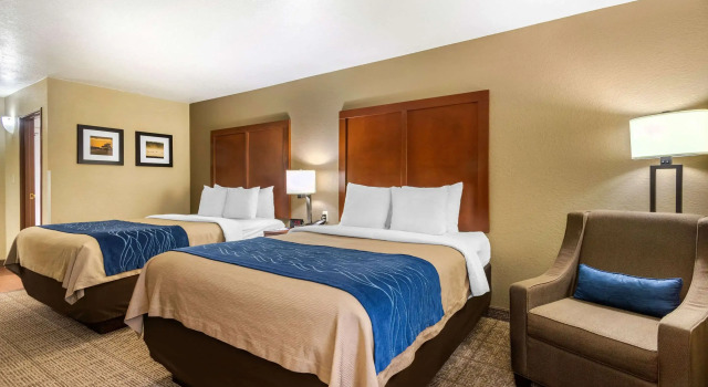 Четырёхместный номер Standard Comfort Inn & Suites Springfield I-44