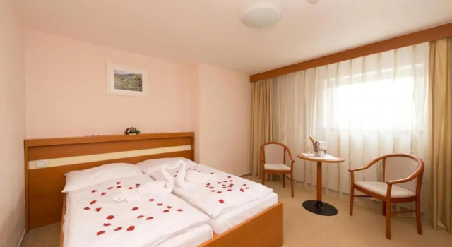 Номер Standard HOTEL SVRATKA
