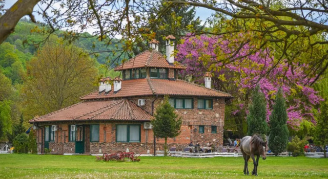 Номер Standard B&B Etno Village Sunčana Reka