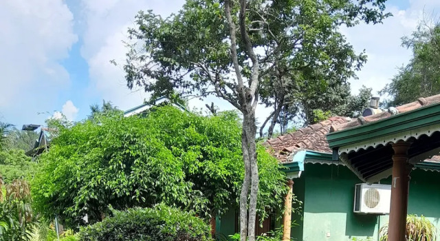 Коттедж Classic Sigiriya Melrose Villas