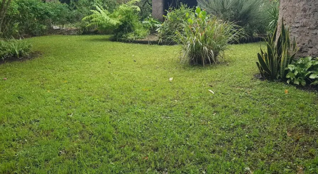 Tanzanin Eco Home & Camp