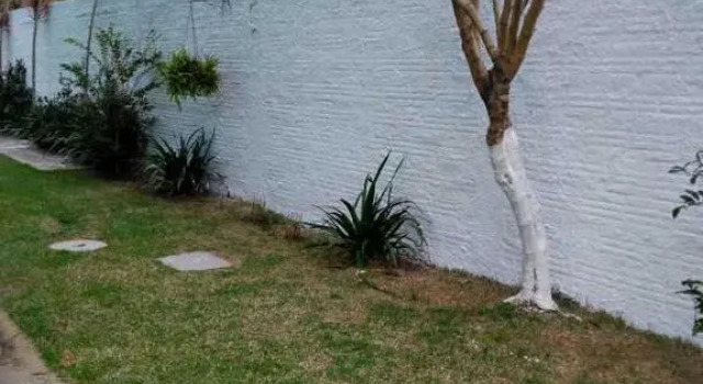 Коттедж Casa da Rose