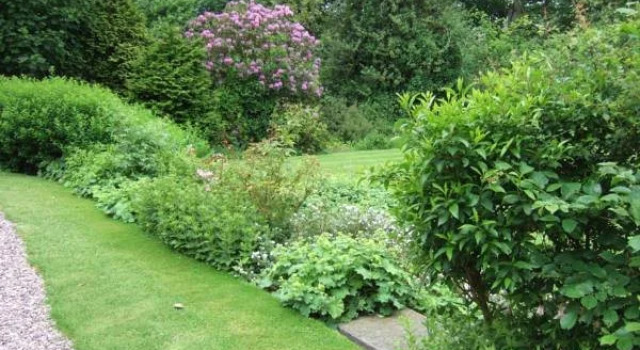 The Wind in the Willows Country House Hotel
