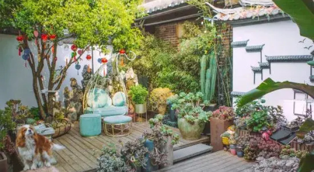 Floral Hotel· Yuebanwan | Coffee & Adorable Pets·Sunlit Golden Mountains·Designer Courtyard Hotel