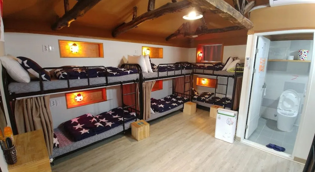 Кровать в общем номере (женский номер) Bori Guesthouse - Hostel