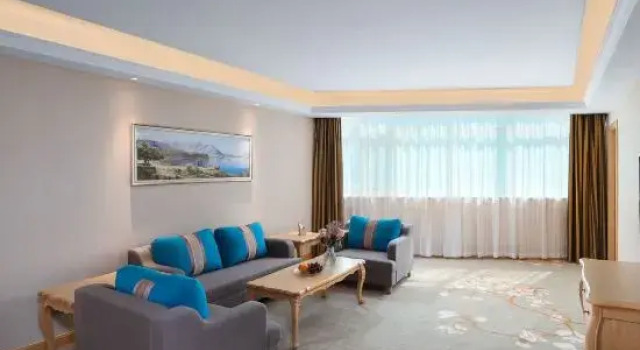 Люкс Business Vienna Hotel (Dezhou Government Shopping Plaza)