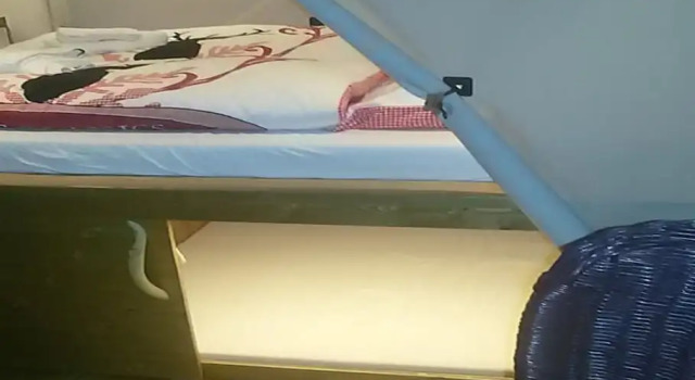 Коттедж Schaeferwagenhotel-Campsite