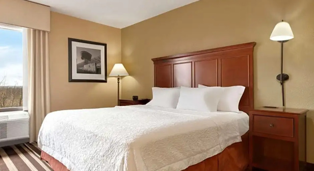 Двухместный люкс Hampton Inn Washington-Dulles Int'l Airport South
