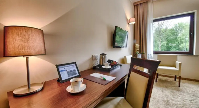 Одноместный номер Standard Hotel Trzebnica