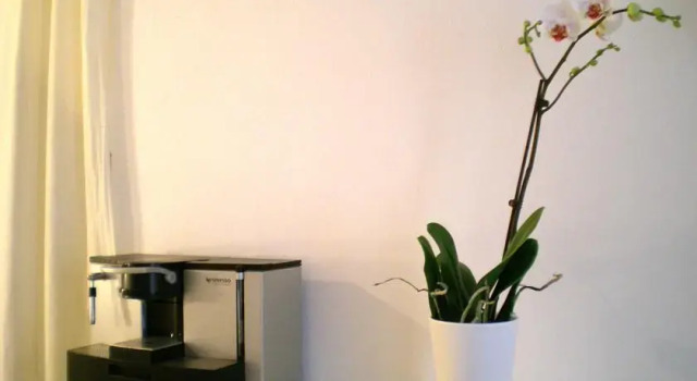 Casa Tauromenium, Book Apartment Hotels in Sicily with Parking, Parking