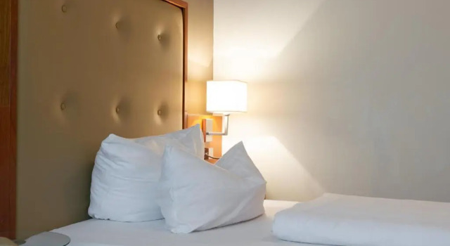 Одноместный номер Standard Hotel Am Blauen Wunder