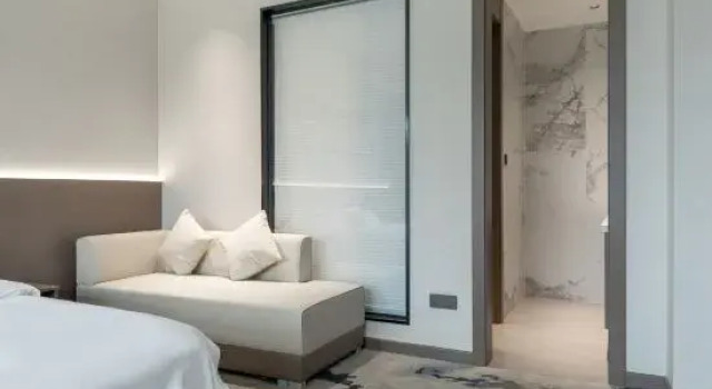 Люкс Deluxe Star Patton Business Hotel