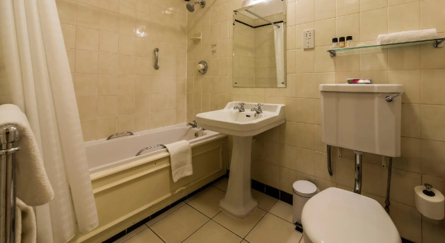 Двухместный номер Standard The Old Ship Hotel