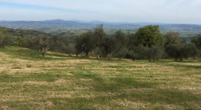 B&B Giuncaia17, Réserver Chambre d'hôtes Hôtels à Scansano avec parking, Parking