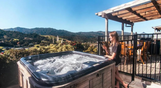 Апартаменты Coromandel Seaview Motel