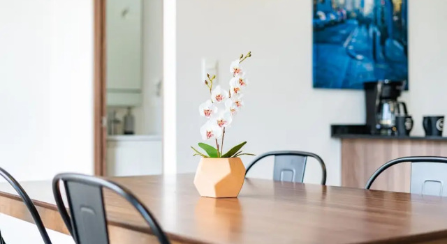 Апартаменты Standard Doctores Apartments by VH