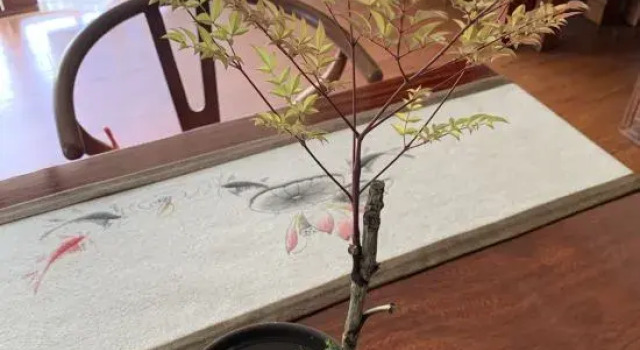 Water Source Garden Homestay, Rezerwuj Hotel Hotele w Baoshan z parkingiem, Parking