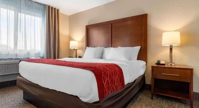 Люкс c 1 комнатой Comfort Inn & Suites South Hill I-85