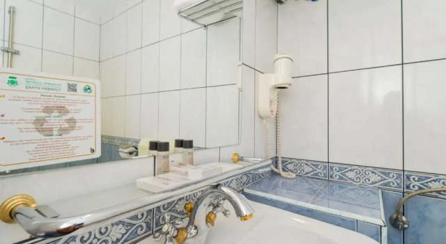 Двухместный номер Standard Hotel Imparatul Romanilor Hotel & SPA