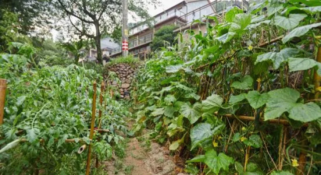 Moganshan Qingquan Inn (Yucun Scenic Area Branch), Book Hotel Huzhou 