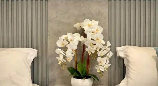 Номер Standard Tijami Villa & Resort