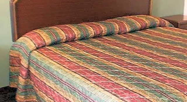 Standard- dobbelt værelse Executive Inn & Suites - Covington