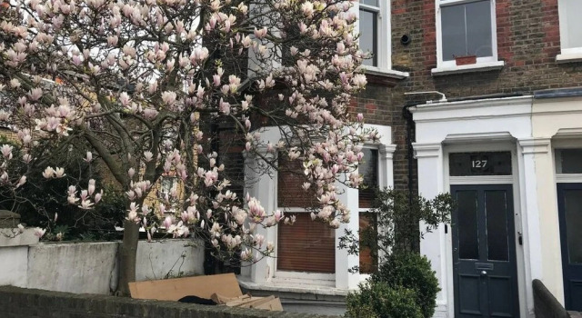 Apartment With Garden Maida Hill