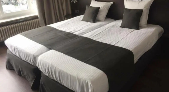 Двухместный номер Deluxe Hotel Ambassadeur