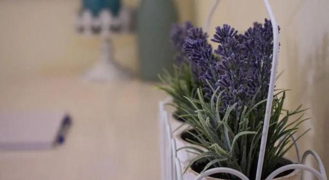 Коттедж с 2 комнатами Lavender Lane