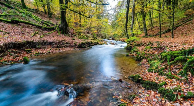 West Hollowcombe Farm Cottages - full site booking, Забронировать Фермерский дом Фермерские дома Англии, Фермерский дом