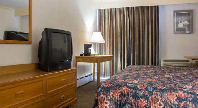 Двухместный номер Econo Lodge By the Falls
