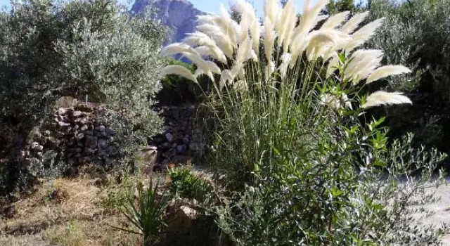 Balcón al Valle