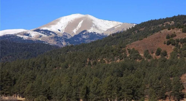 Alto Oso, 3 Bedrooms, Lush Forest View, Deck, Spa, Hot Tub, Sleeps 6, Book Hotel Alto New Mexico