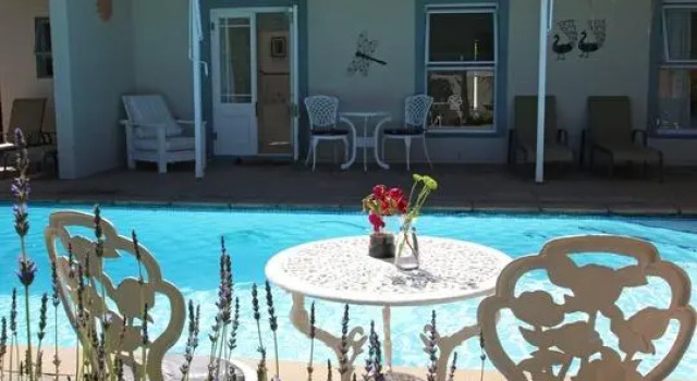 Кровать в общем номере Paradiso Guesthouse & Self-catering Cottage