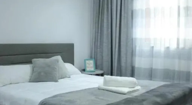 Апартаменты Vlad's Downtown Apartment