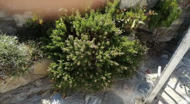 Коттедж Private country house