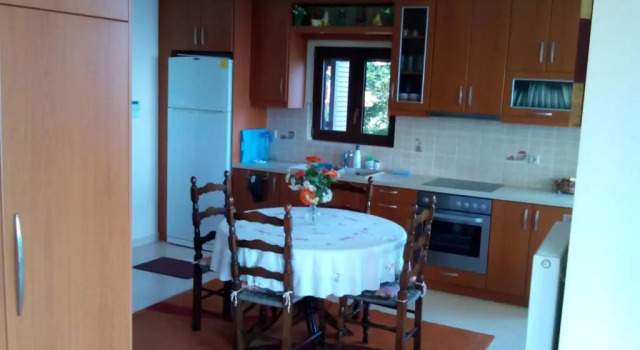Студия Elatos cozy Studio