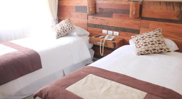 Номер Standard Hotel Plaza Pinto