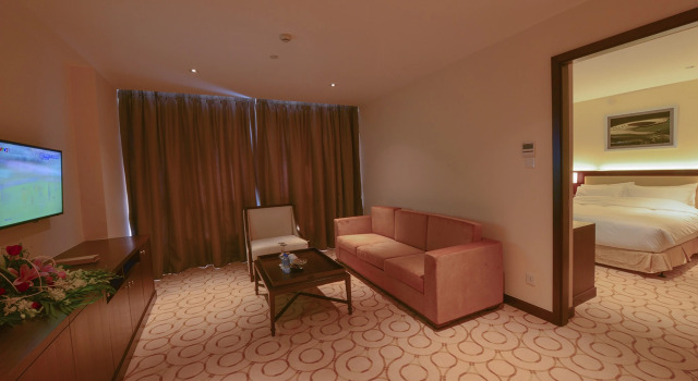 Полулюкс Aristo International Hotel