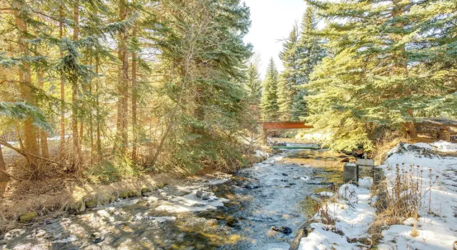Коттедж Charming Idaho Springs Retreat on Chicago Creek!